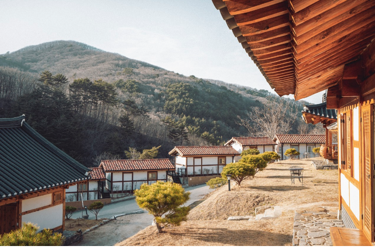 전통 음식을 재해석한 현대 요리 트렌드