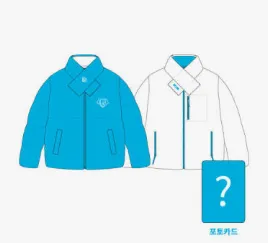 임영웅 갤러리 콘서트