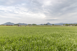 여수 가볼만한 곳 추천 관광지 여수 순천만습지