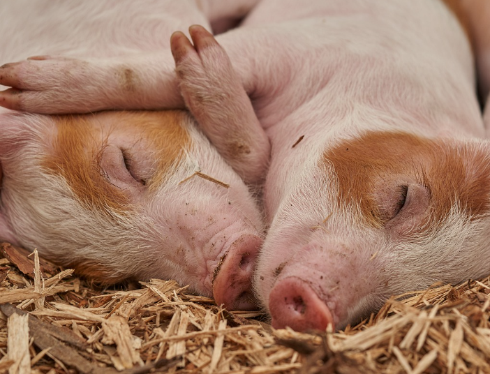 오늘의 운세 2023년 10월 25일