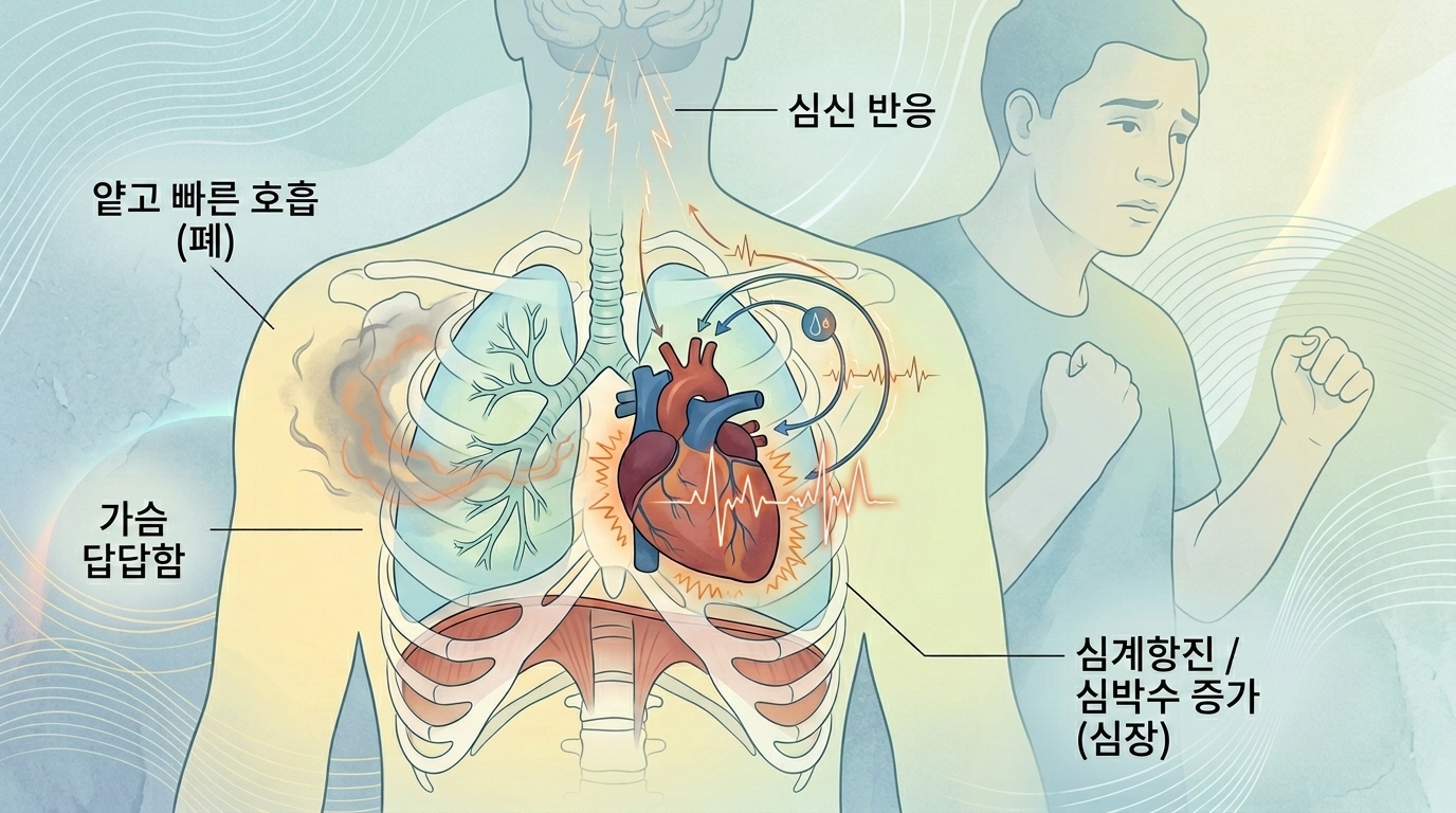 심신 반응, 얕고 빠른 호흡, 가슴 답답함, 심계항진 등 불안 시 신체 변화를 설명하는 의학 일러스트