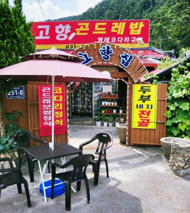 황신혜-안양-밥상-고향곤드레밥