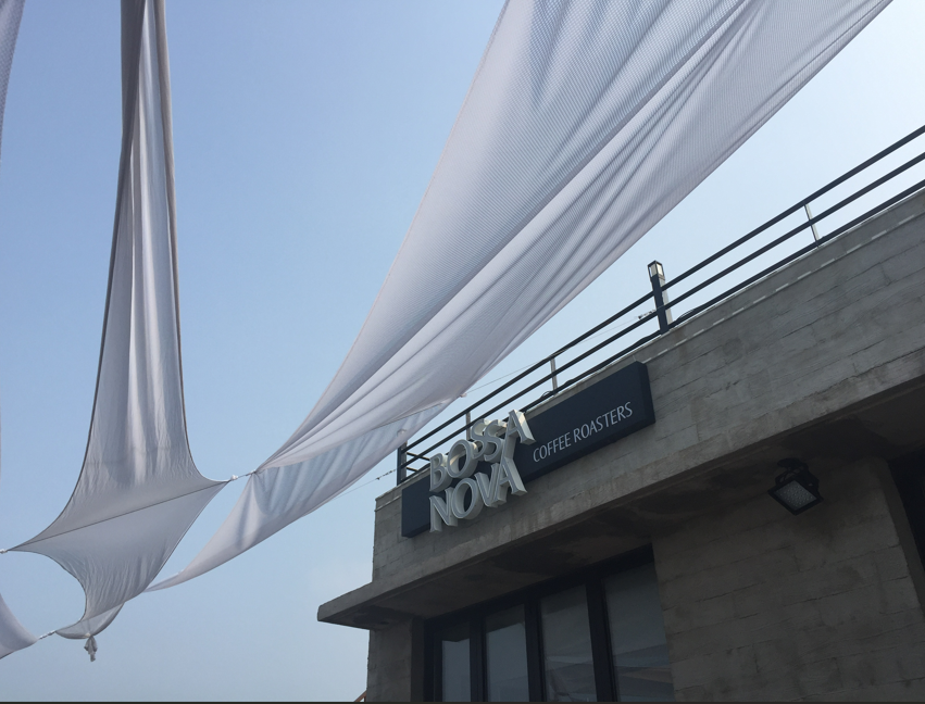 강릉 안목해변 카페