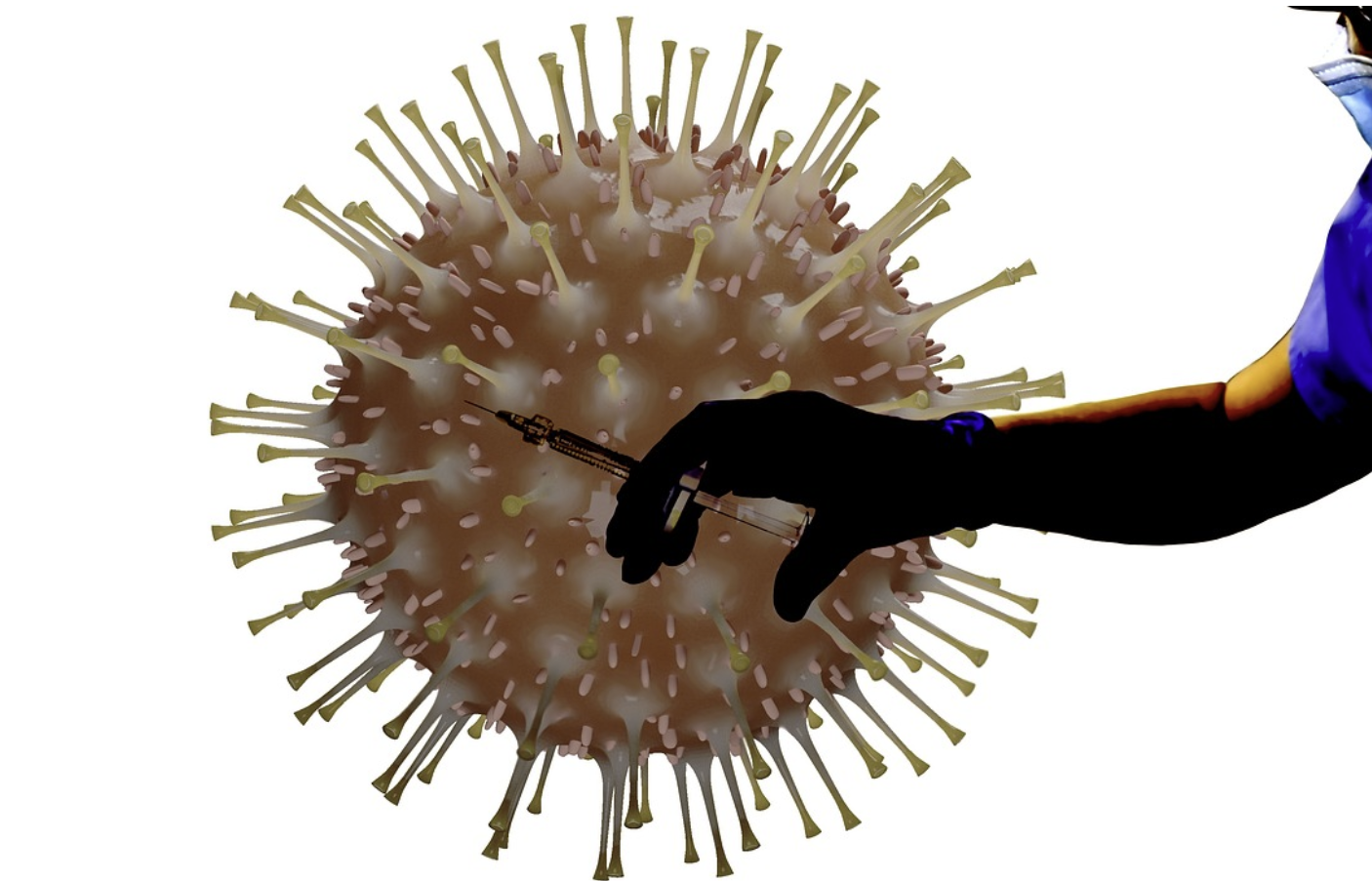 2024년 독감 예방접종