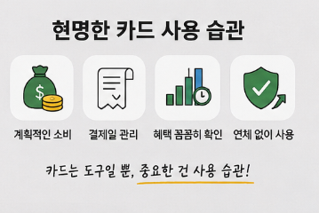 체크카드와 신용카드 뭐가 더 유리할까? 소비패턴별 혜택 비교1