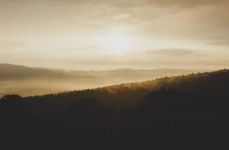 기초생활수급자