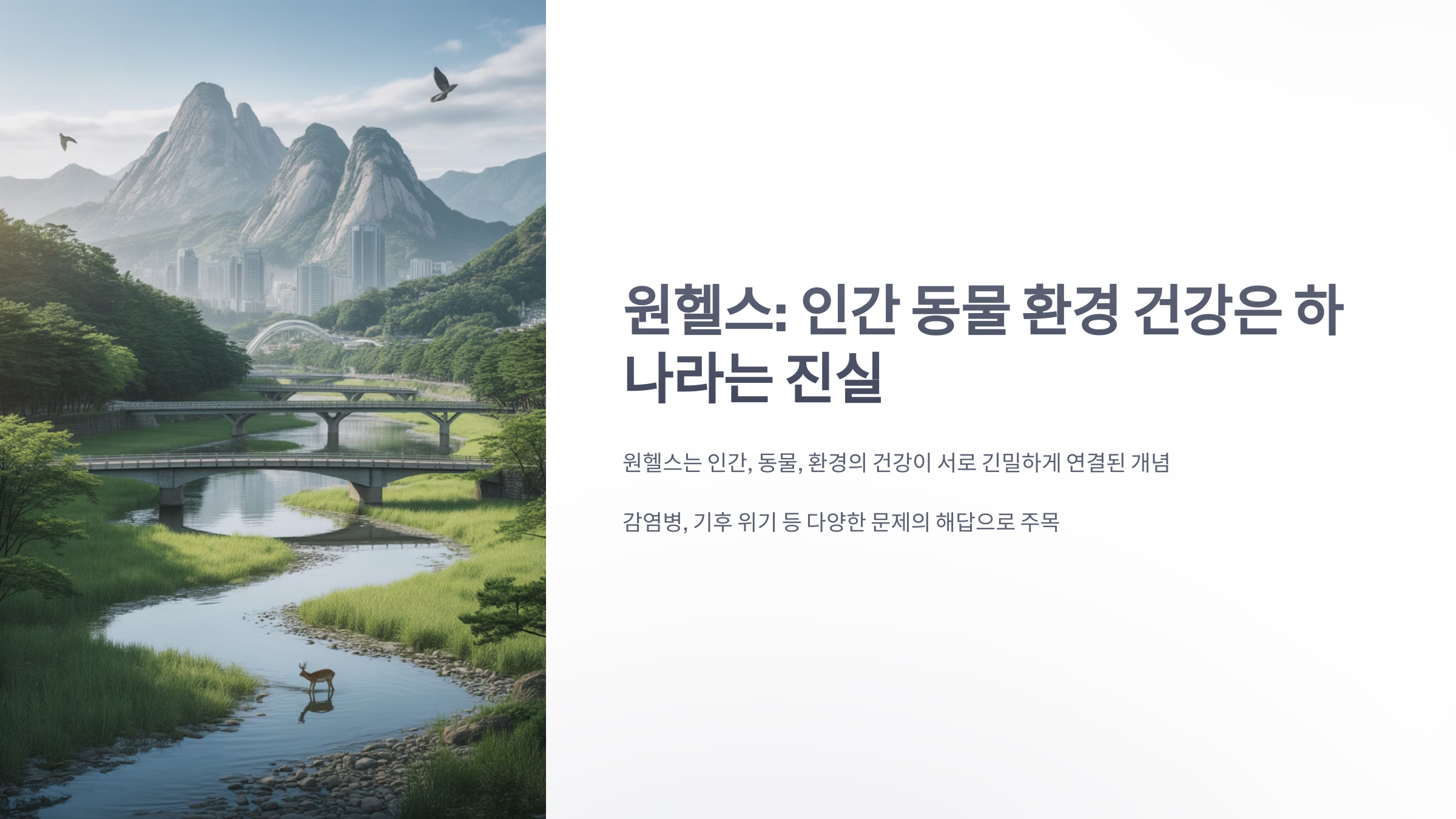 참조-원헬스,-인간-동물-환경-건강은-하나-1