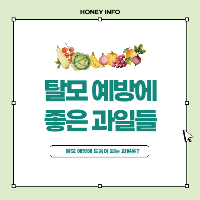 탈모 예방에 좋은 과일들