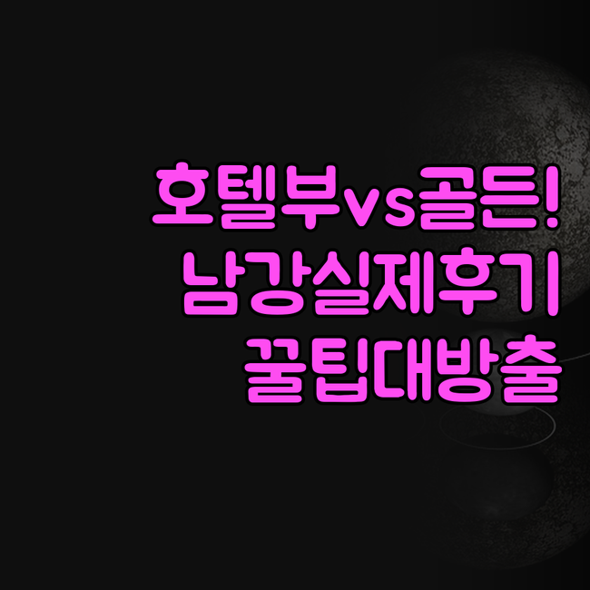 호텔부엉이 골든튤립 남강 비교 실제 ..