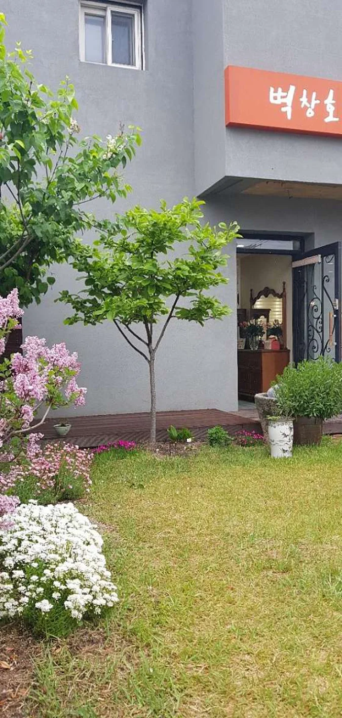 벽창호 논산대리점