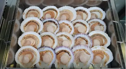 생방송투데이 겨울별미 대왕 조개 굴찜 통굴통굴 시흥본점