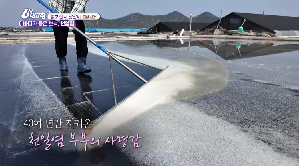염전에서 수확중인 6시내고향 신안 천일염