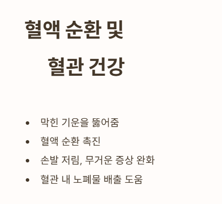 침향환 효능 : 혈액순환 및 혈관 건강