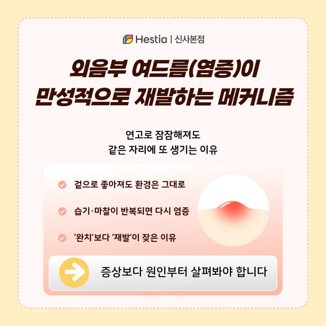 외음부 여드름(염증) 이 만성적으로 재발하는 메커니즘