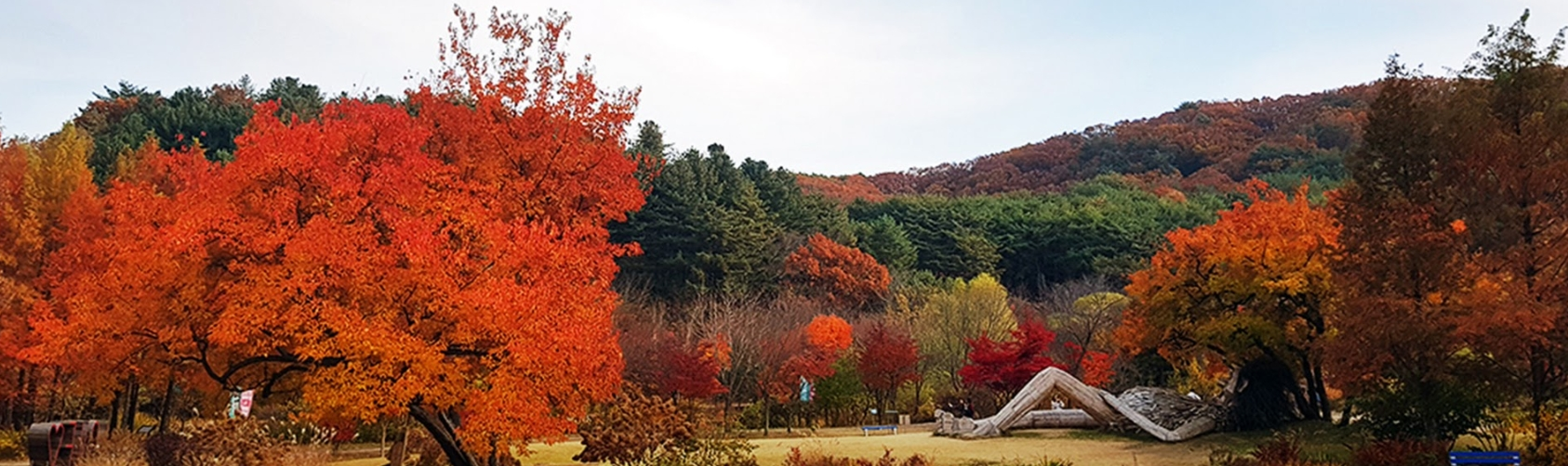 [반려견 동반, 가족 여행지]평강랜드❘아이들과 함께하는 반려견 놀이터, 캠핑장