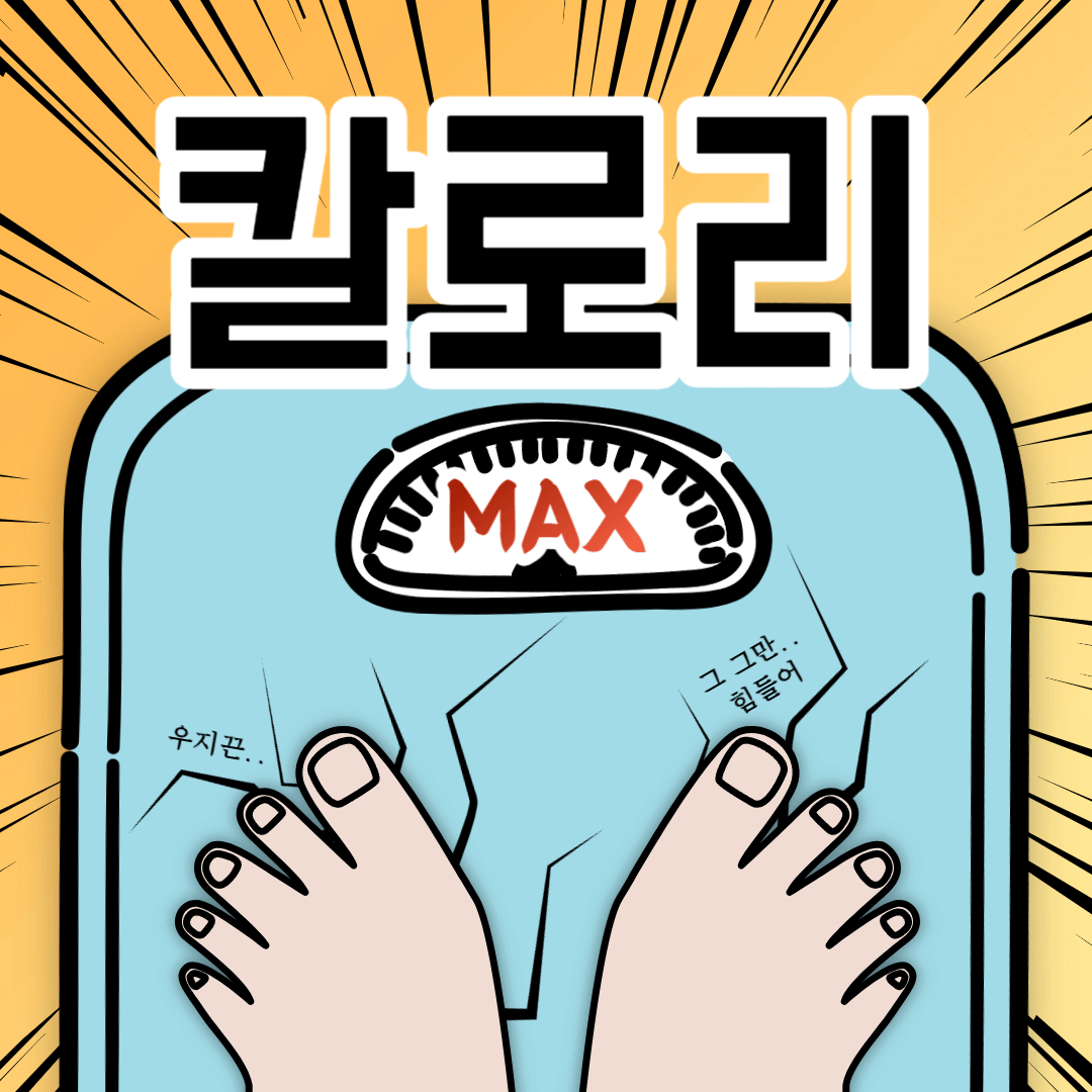 다이어트 칼로리