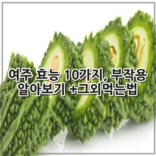 여주 효능 10가지, 부작용 알아보기 +그외먹는법
