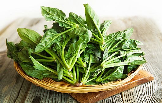 비타민d 부족증상