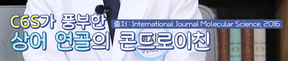 콘드로이친 효능