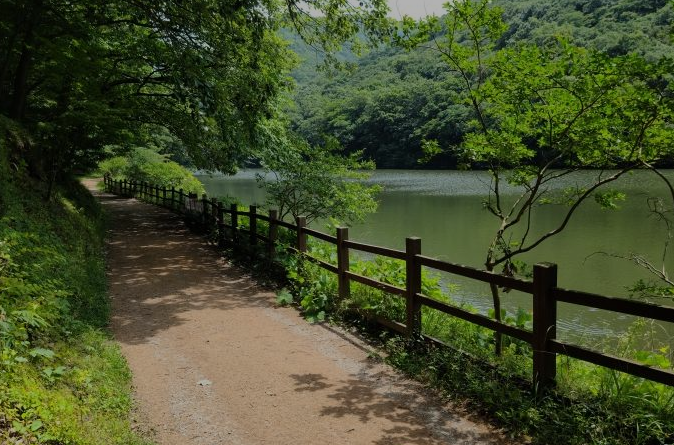 불갑사