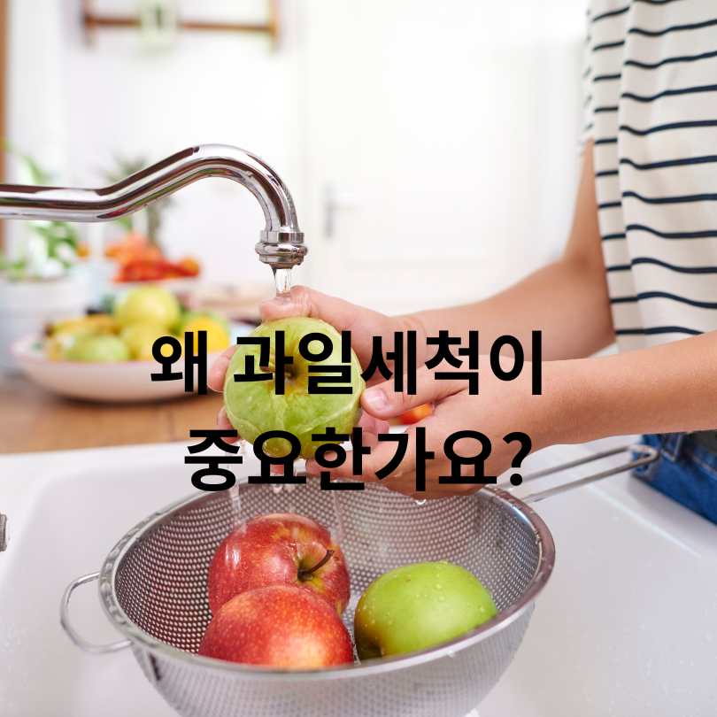 과일세척방법