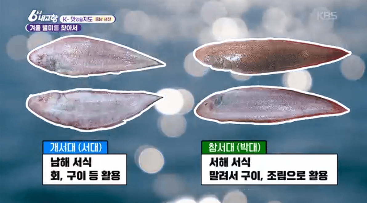 [6시내고향] 충남 서천 박대 정식 &amp;#39;서해안식당&amp;#39; 예약 위치 연락처 정보안내를 돕는 이미지