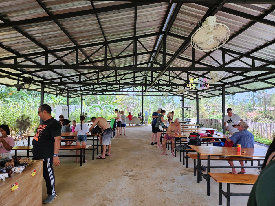 푸켓 가볼만한곳, 엘리펀트 정글 생츄어리 코끼리 샤워시키기 밥주기 후기