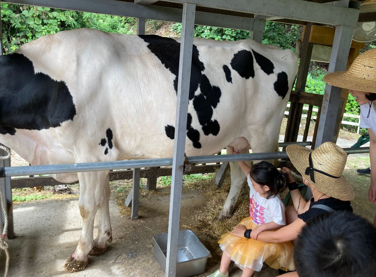 은아목장 목장체험