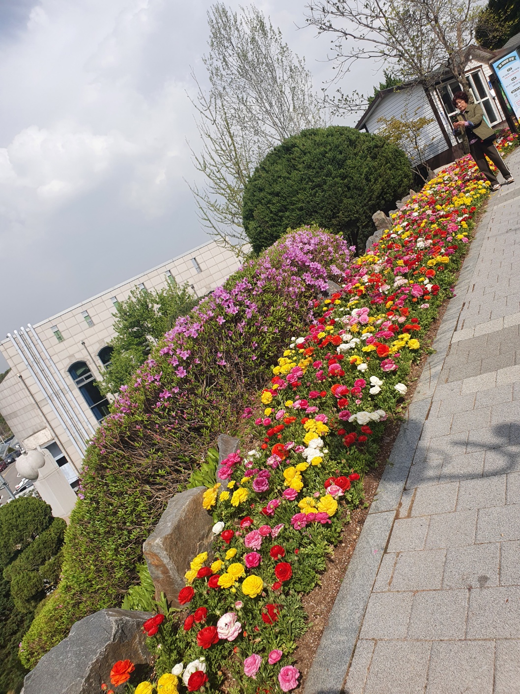 2026 수능 일정표