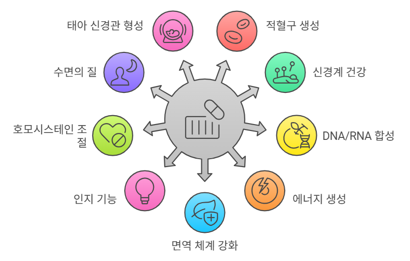코발라민 효능