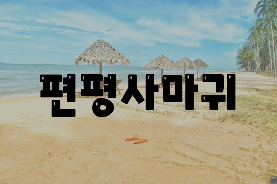 샘플 (87)