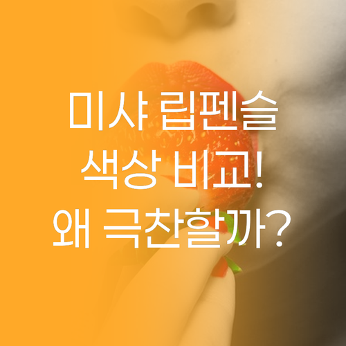 미샤 립 펜슬, 왜 다들 극찬할까?