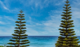 유급휴일수당 지급 뜻