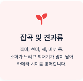 대장내시경 약 복용법