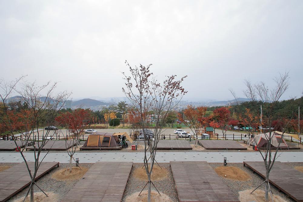 대구 달서별빛캠프 캠핑장 소개