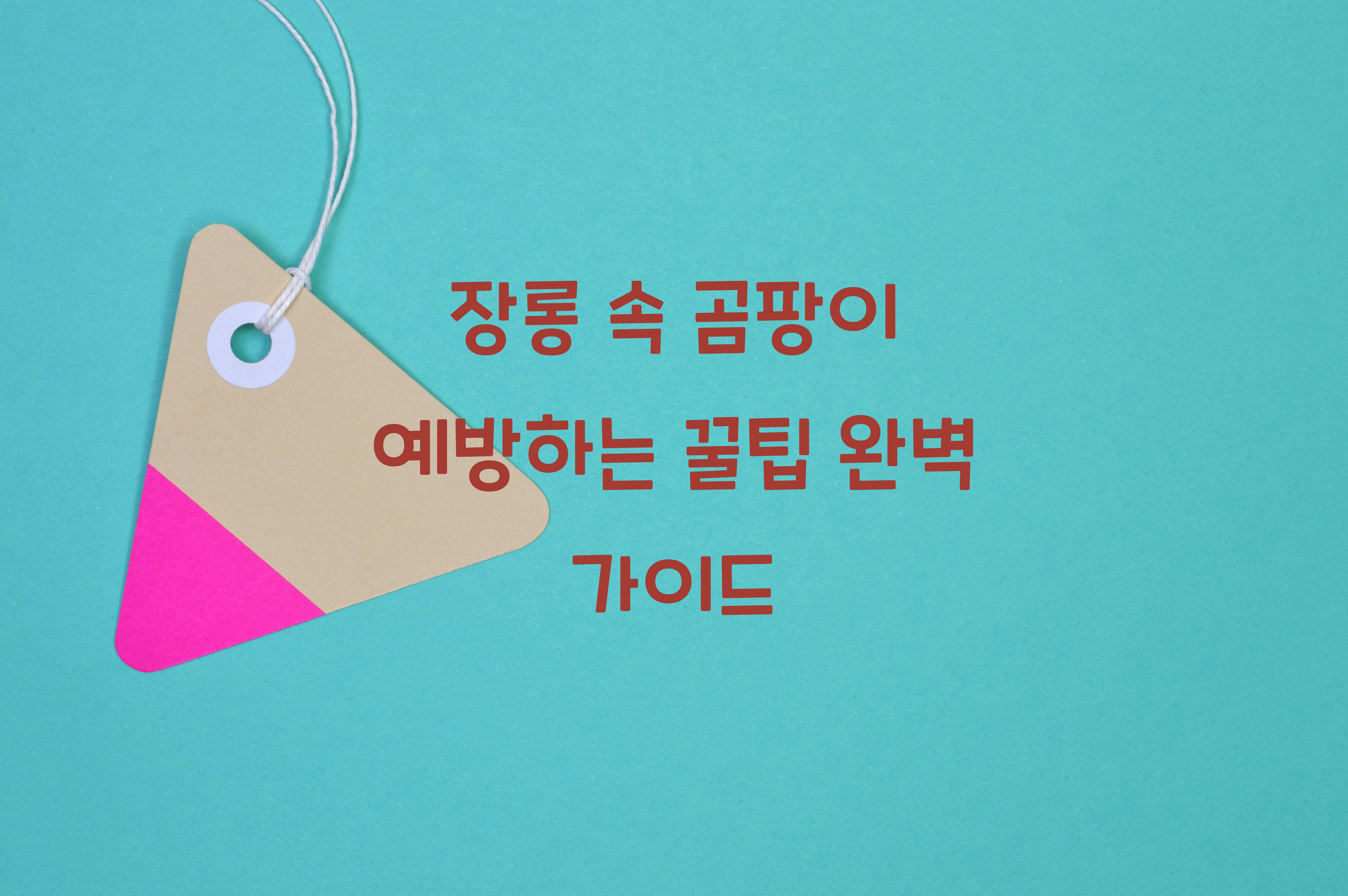 장롱 속 곰팡이 예방하는 꿀팁