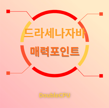 드라세나자바 매력포인트