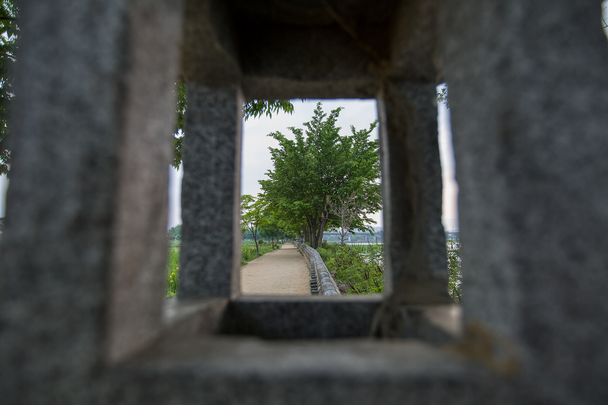 두물머리 산책로1