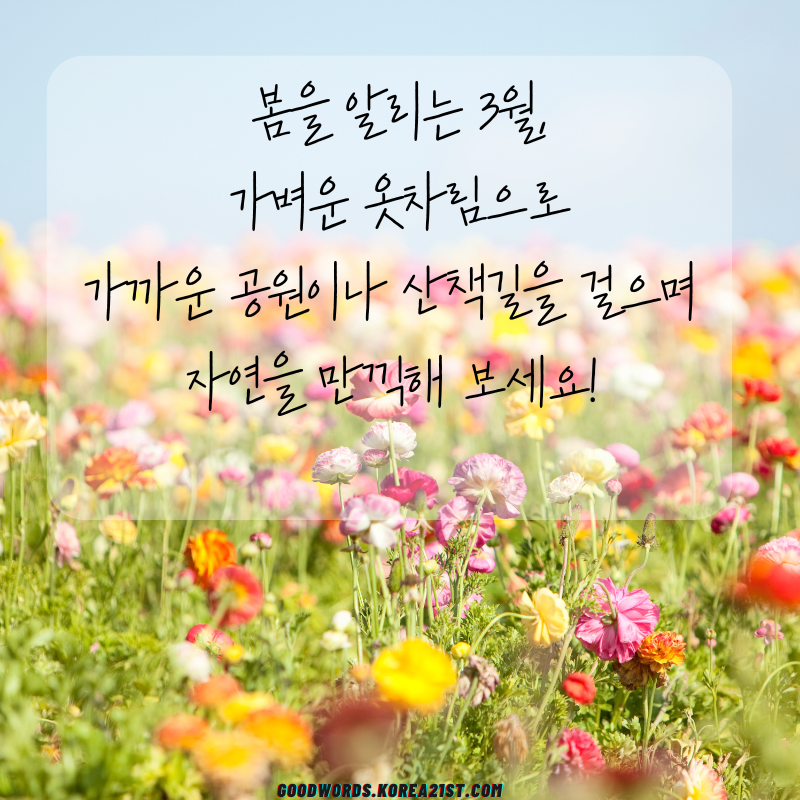 3월 인사말 문구 이미지 모음집