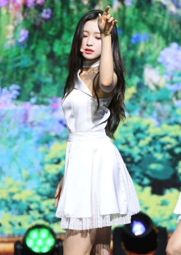 환혼 아린