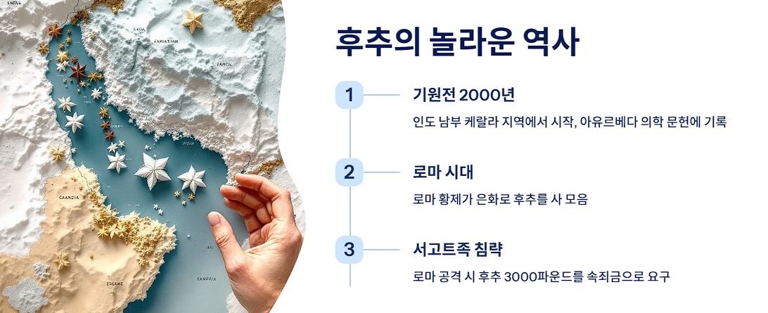 후추의 놀라운 역사