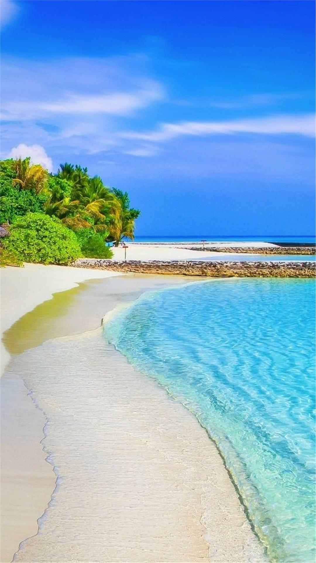 iPhone Wallpaper