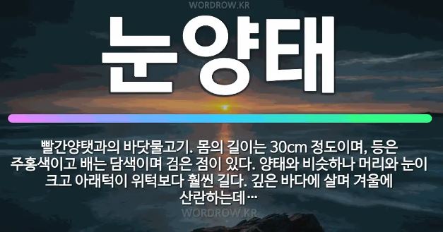눈양태