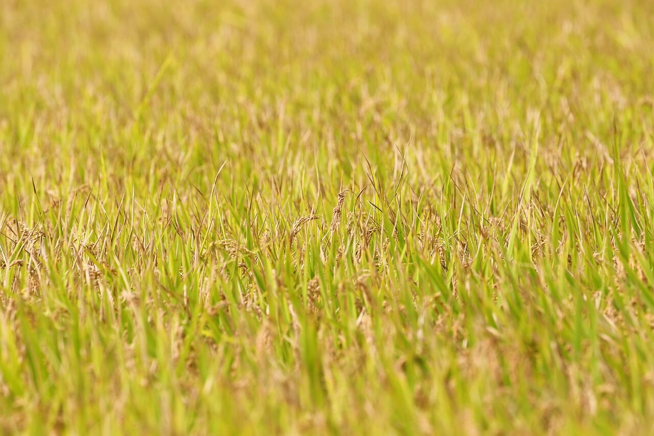 베테랑2 등장인물