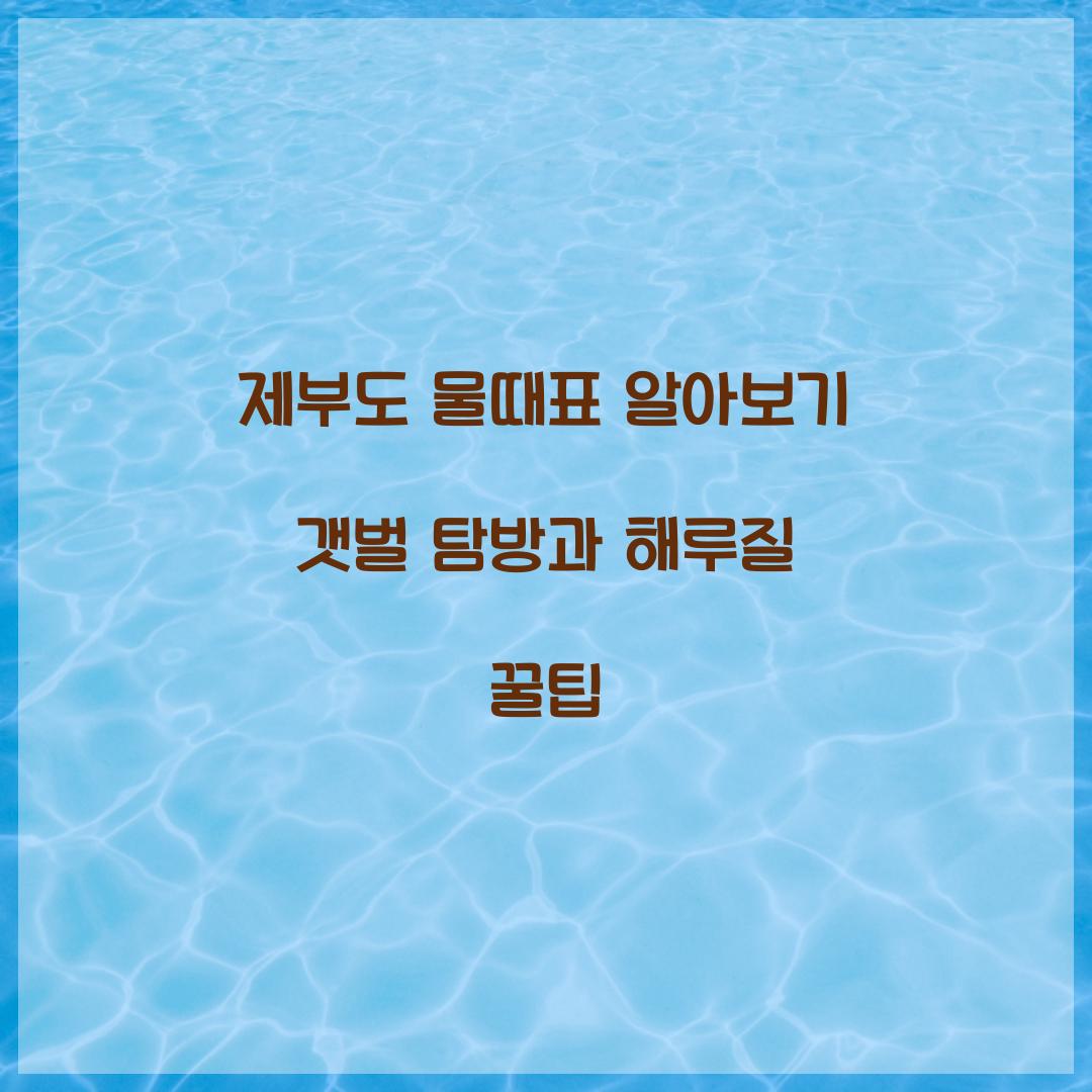 제부도 물때표