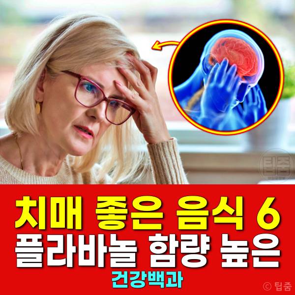 치매에 좋은 음식 치매예방음식 플라바놀 함량 높은