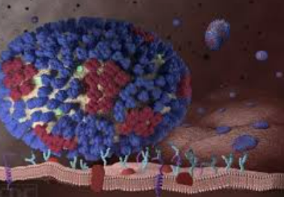 A형독감-바이러스