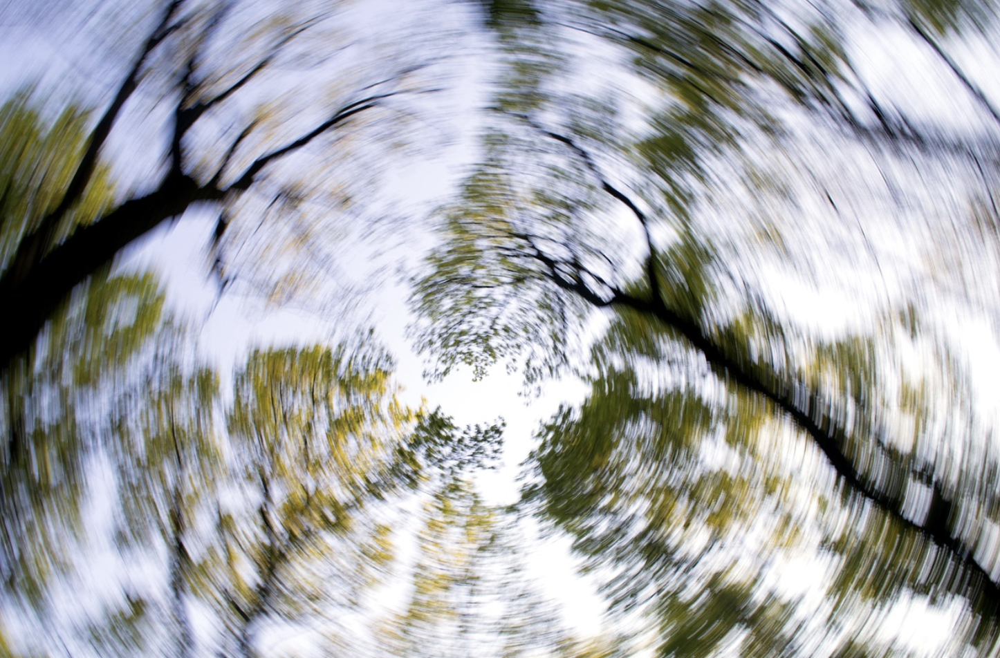 어지러워서 빙빙 도는 사진