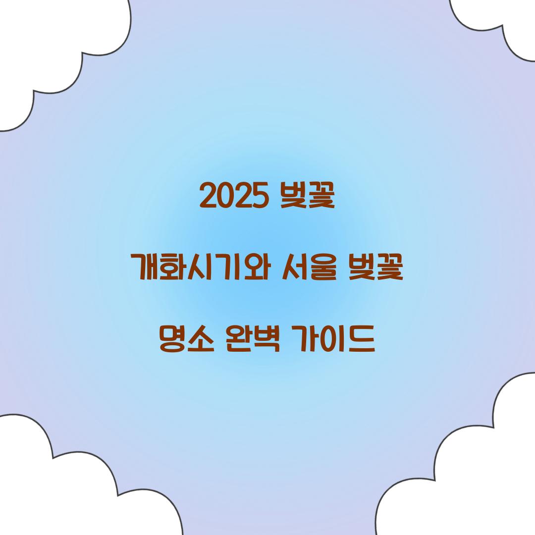 2025 벚꽃 개화