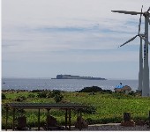 가파도 청보리 축제(2025) 배 시간표 & 주차 완벽가이드 관련 사진